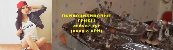 ПСИЛОЦИБИНОВЫЕ ГРИБЫ Анжеро-Судженск