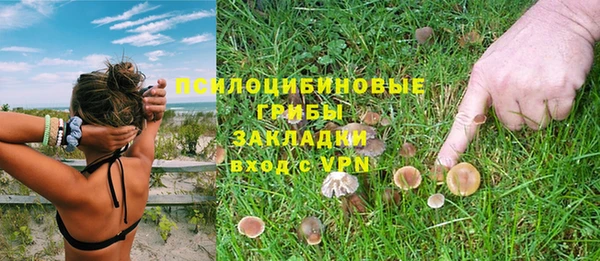 первитин Богородск