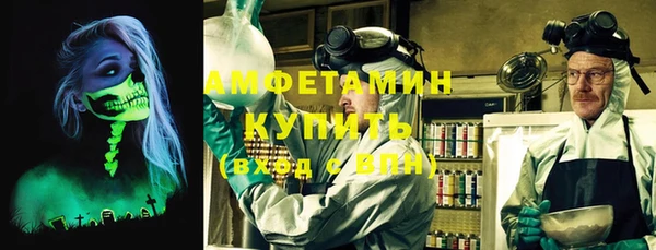 индика Бронницы