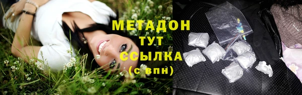 индика Бронницы