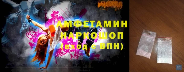 индика Бронницы