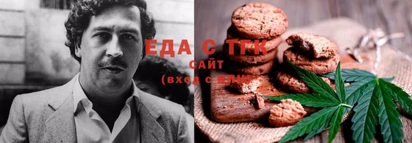 индика Бронницы