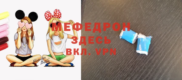 индика Бронницы
